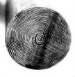 CONCENTRIC RINGS