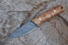 Stabilised Burr Willow